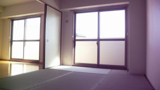 写真は反転タイプです。