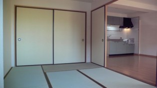写真は反転タイプです。
