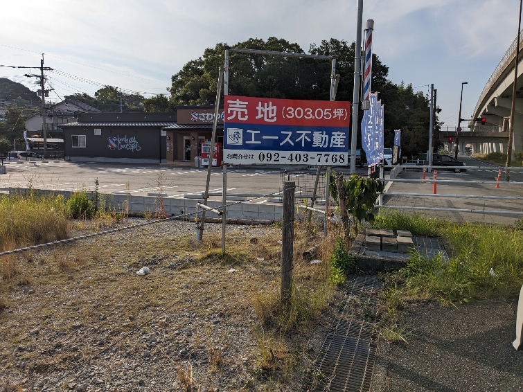 現地写真④